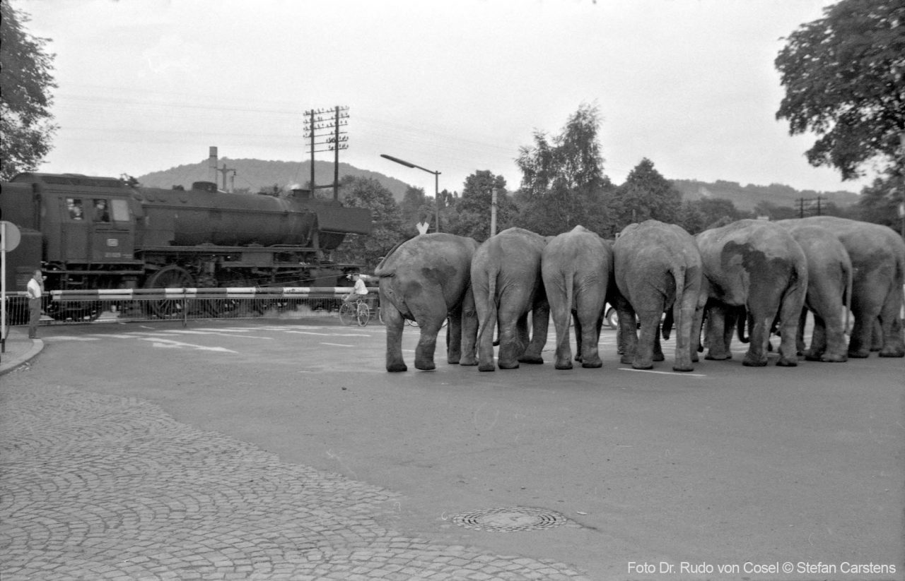 23 029 mit den Elefanten des Circus Heros in Marburg
