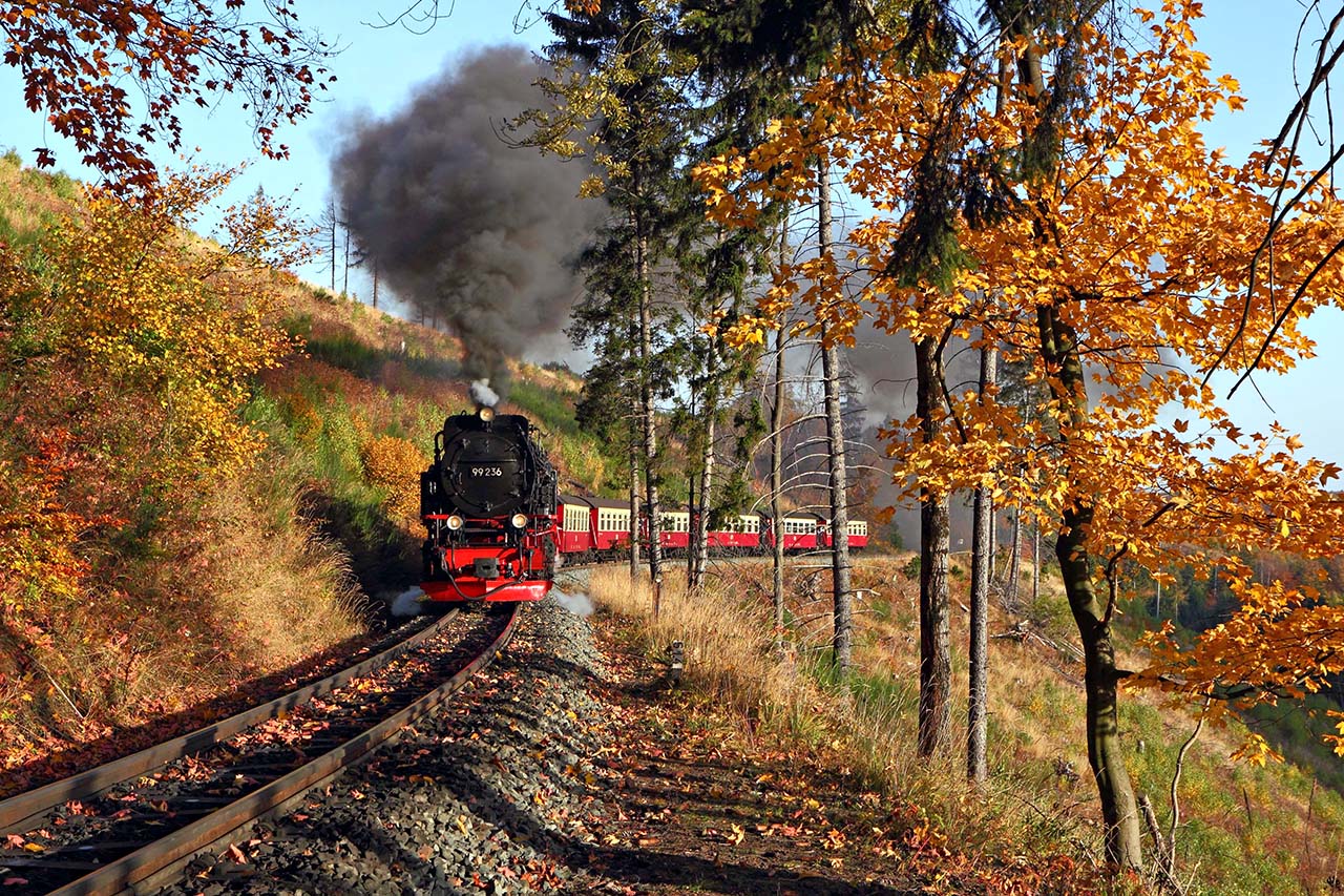 99 236 mit dem P 8931 am 20. Oktober 2012 am Thumkuhlenkopf