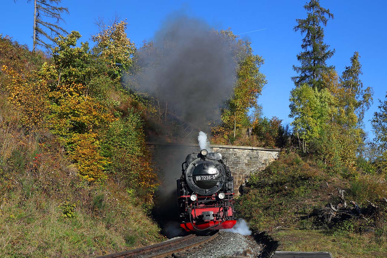 99 7236 mit dem P 8933 am 23. Oktober 2010 am Thumkuhlen-Tunnel